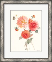 Framed Summer Dahlias II