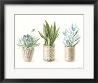 Desert Greenhouse VII Framed Print