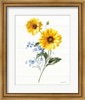 Framed Bees and Blooms Flowers V