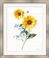 Framed Bees and Blooms Flowers V