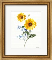 Framed Bees and Blooms Flowers V