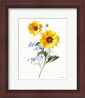 Framed Bees and Blooms Flowers V