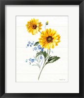 Framed Bees and Blooms Flowers V