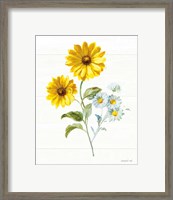 Framed 'Bees and Blooms Flowers IV' border=