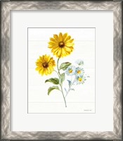 Framed 'Bees and Blooms Flowers IV' border=