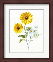 Framed Bees and Blooms Flowers IV