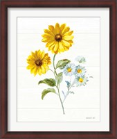 Framed Bees and Blooms Flowers IV