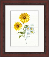 Framed Bees and Blooms Flowers IV