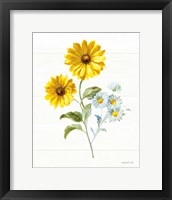Framed 'Bees and Blooms Flowers IV' border=