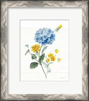 Framed 'Bees and Blooms Flowers III' border=