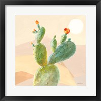 Desert Greenhouse IV Framed Print
