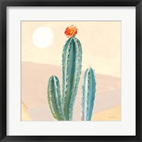 Desert Greenhouse III Framed Print