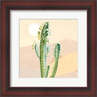 Framed Desert Greenhouse II