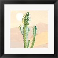 Framed Desert Greenhouse II