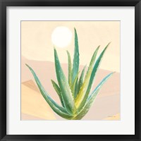Desert Greenhouse V Framed Print