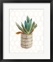 Desert Greenhouse XIII Framed Print