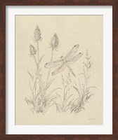 Framed Vintage Nature Sketchbook IV