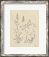 Framed Vintage Nature Sketchbook IV