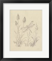 Vintage Nature Sketchbook IV Framed Print