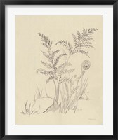 Framed Vintage Nature Sketchbook VI