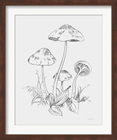 Framed Natures Sketchbook III Bold Light Gray