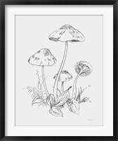 Framed Natures Sketchbook III Bold Light Gray