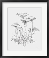 Framed Natures Sketchbook I Bold Light Gray