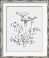 Framed Natures Sketchbook I Bold Light Gray