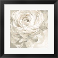 Framed White Rose Gray