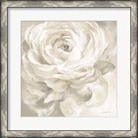 Framed White Rose Gray