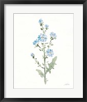 Flowers of the Wild III Framed Print