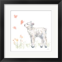 Framed Spring Lamb IV