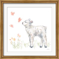 Framed Spring Lamb IV