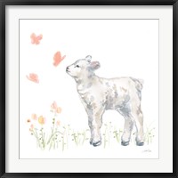 Framed Spring Lamb IV