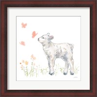 Framed Spring Lamb IV