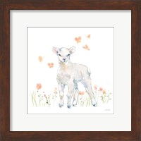 Framed 'Spring Lambs II' border=