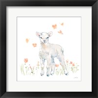 Framed Spring Lambs II