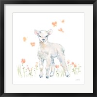 Framed Spring Lambs II