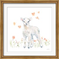 Framed Spring Lambs II