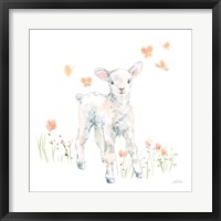 Framed Spring Lambs I