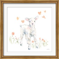 Framed Spring Lambs I