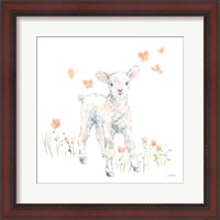 Framed Spring Lambs I