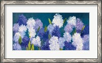 Framed Bold Hyacinth Crop