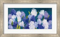 Framed Bold Hyacinth Crop