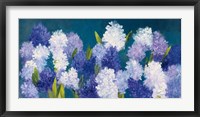 Framed Bold Hyacinth Crop