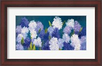 Framed Bold Hyacinth Crop