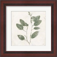 Framed Plantlife II Green