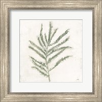 Framed Plantlife I Green