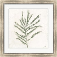 Framed Plantlife I Green