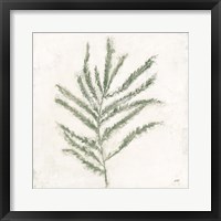 Plantlife I Green Framed Print